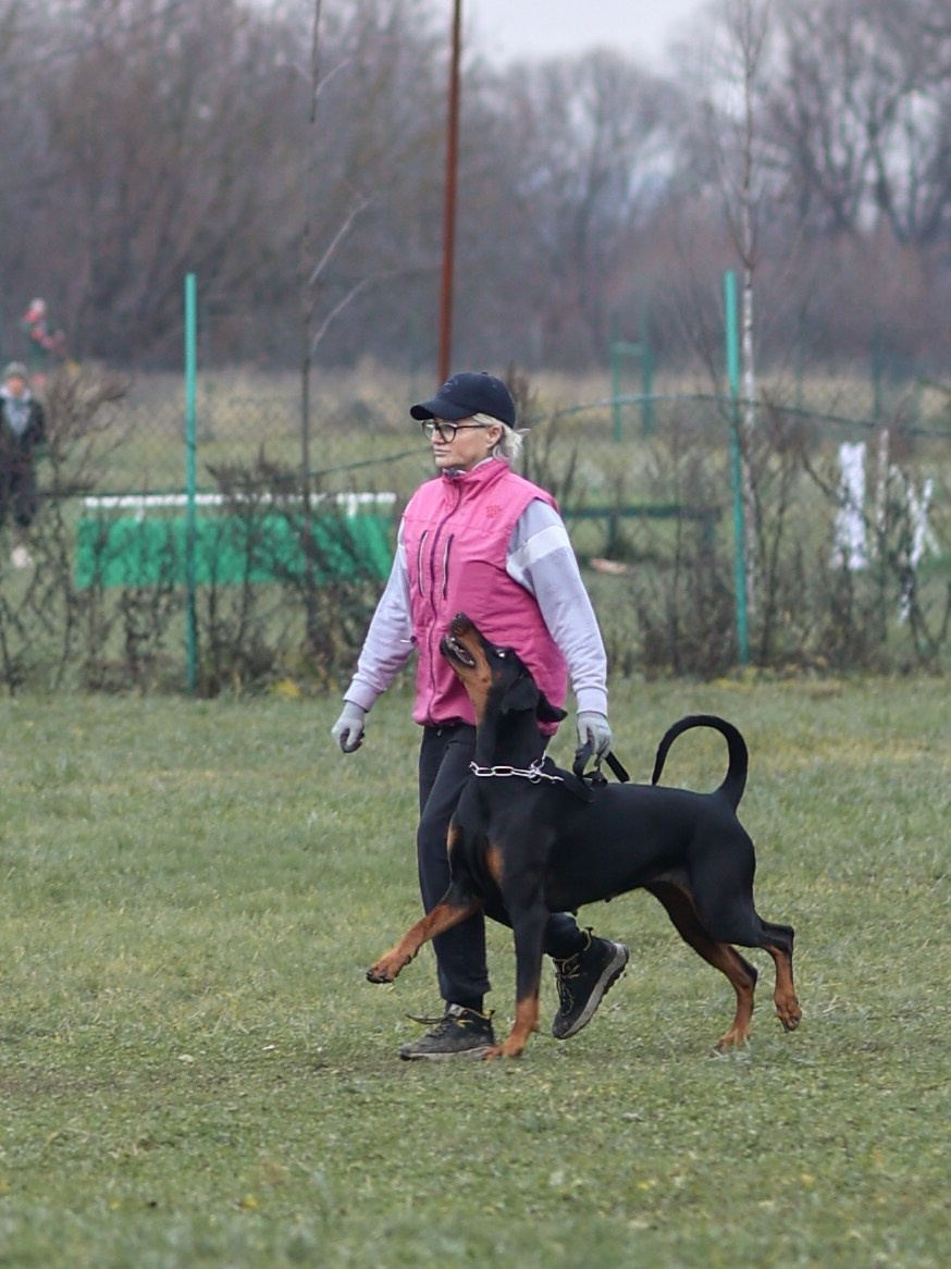 Соревнования BH. Фотограф-анималист в Москве Кириллова Татьяна