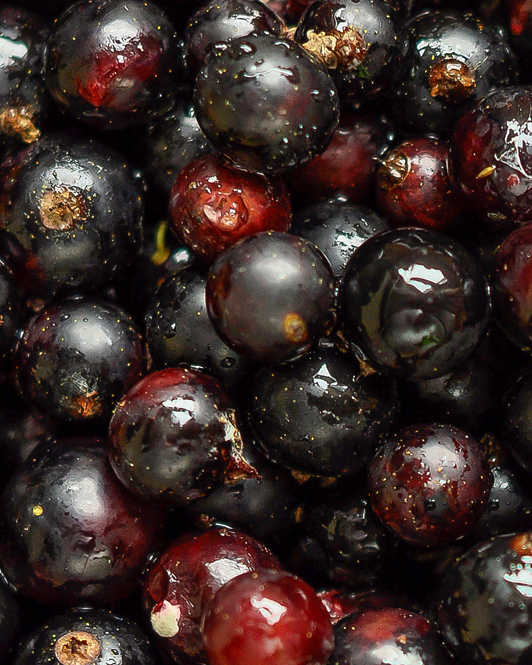 Фото еды и напитков для маркетплейсов. Фотограф и художник Kerry Moore