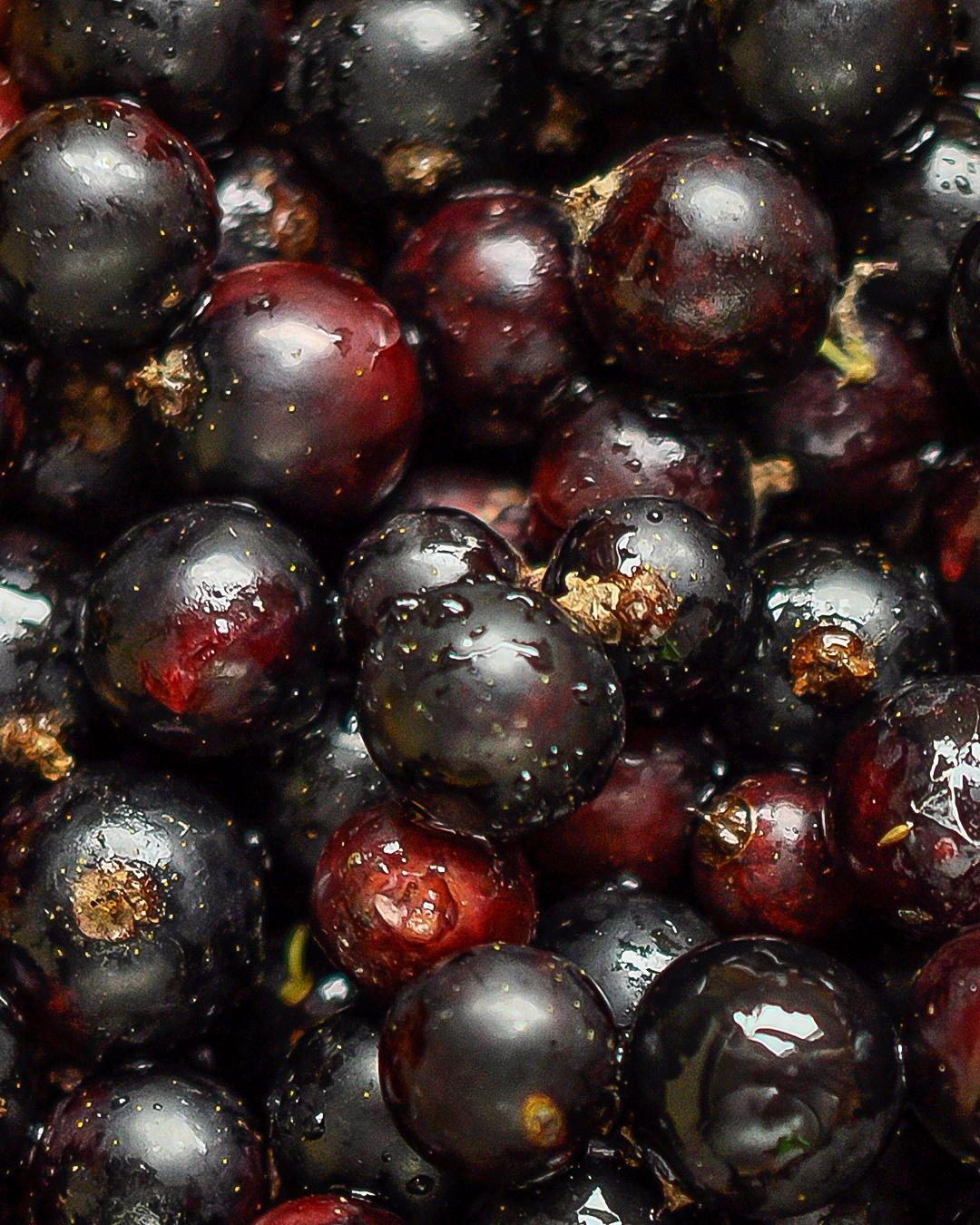 Фото еды и напитков для маркетплейсов. Фотограф и художник Kerry Moore