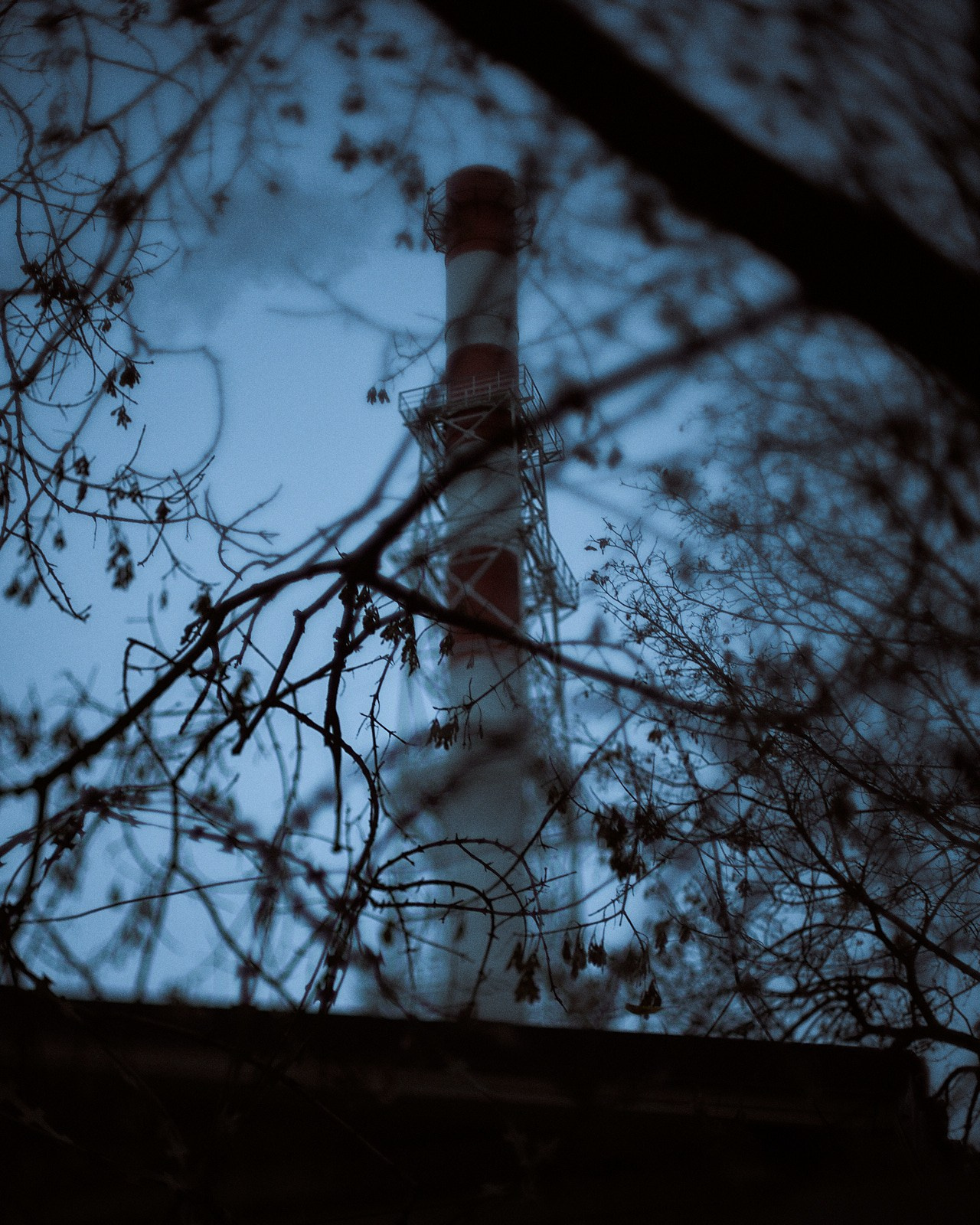 Москва. Фотограф и оператор мероприятий, концертов и портретов в городе Москва