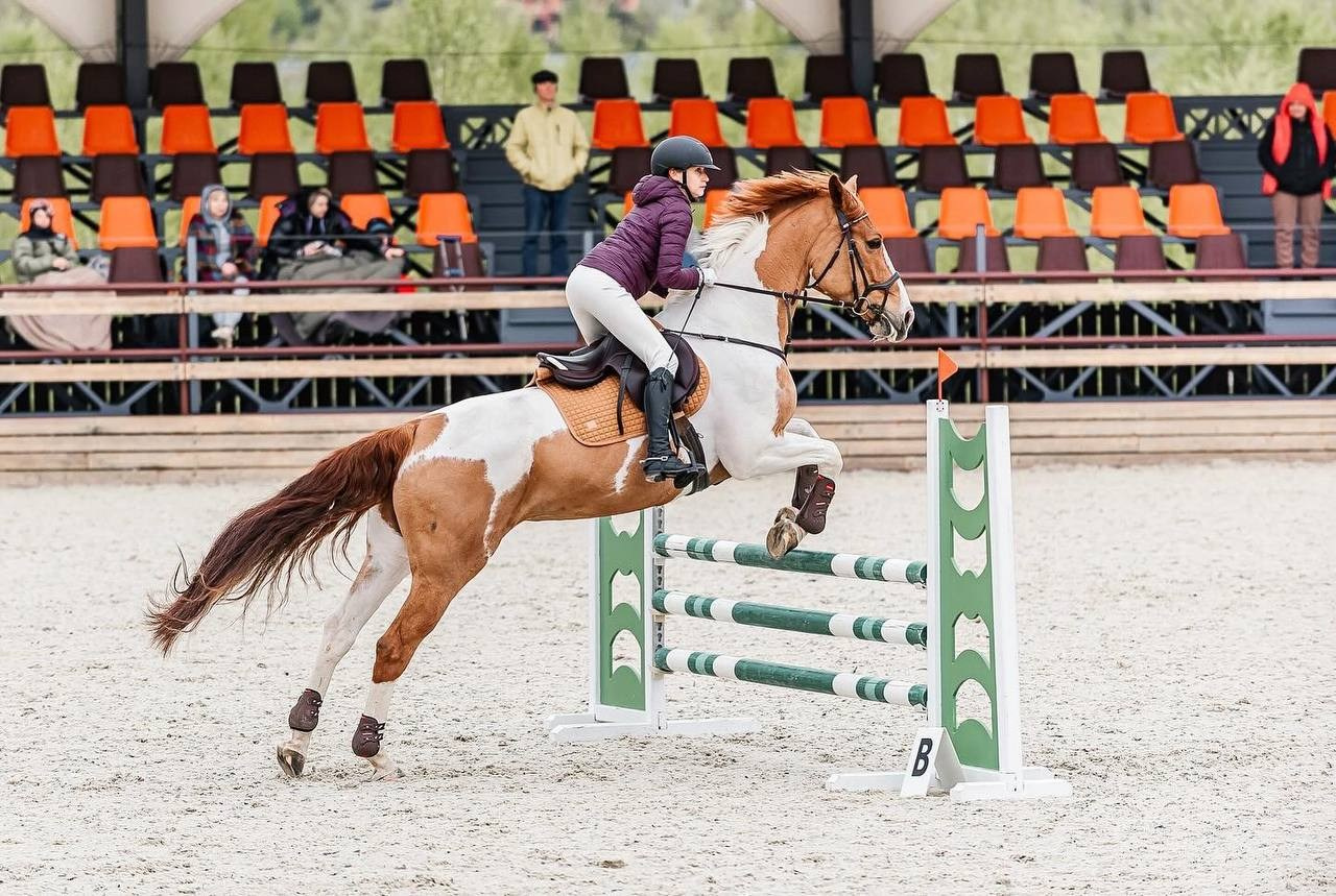 Открытый Кубок КСК «Дивный» по конкуру. Конный фотограф Куракина Дарья • Фотосессии с лошадьми