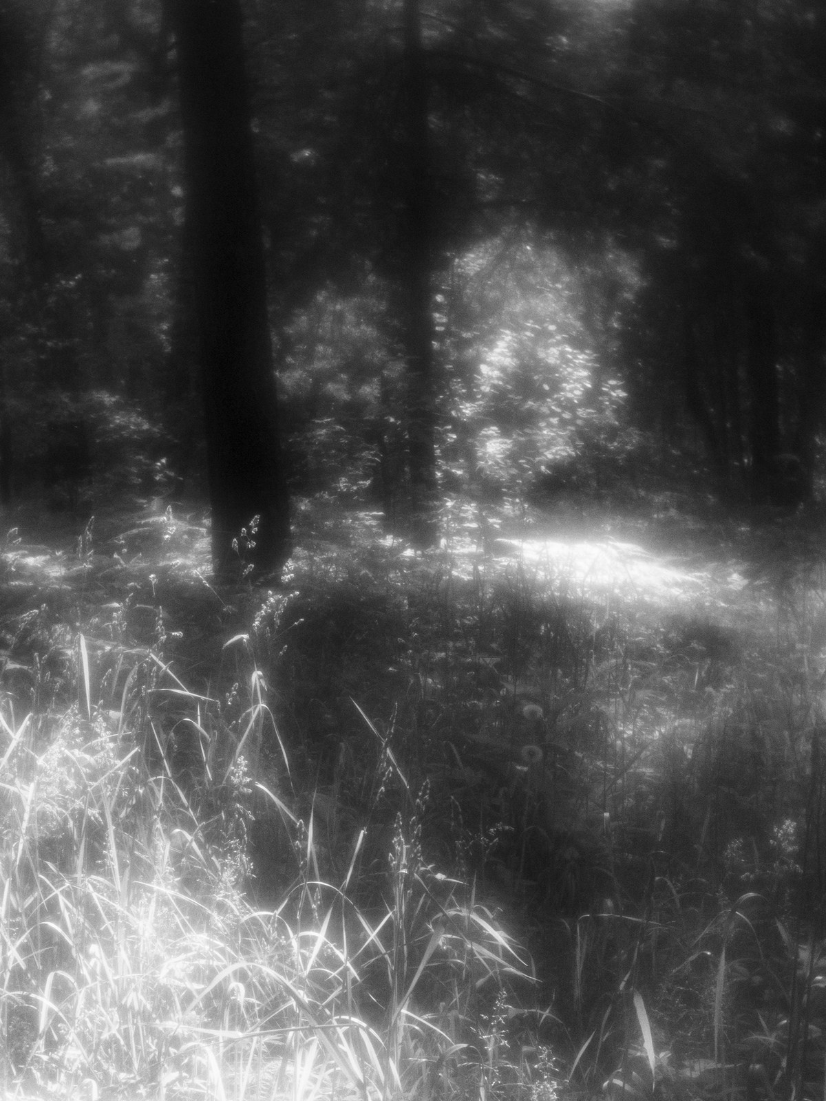 Portfolio. Estetyka