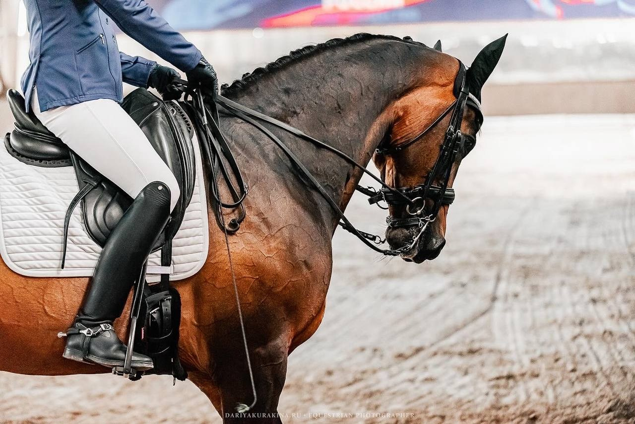 ВЕСЕННИЙ КУБОК КСК «УРОЖАЙ» по ВЫЕЗДКЕ на призы ФСОП «РОССИЯ», II этап. Конный фотограф Куракина Дарья • Фотосессии с лошадьми