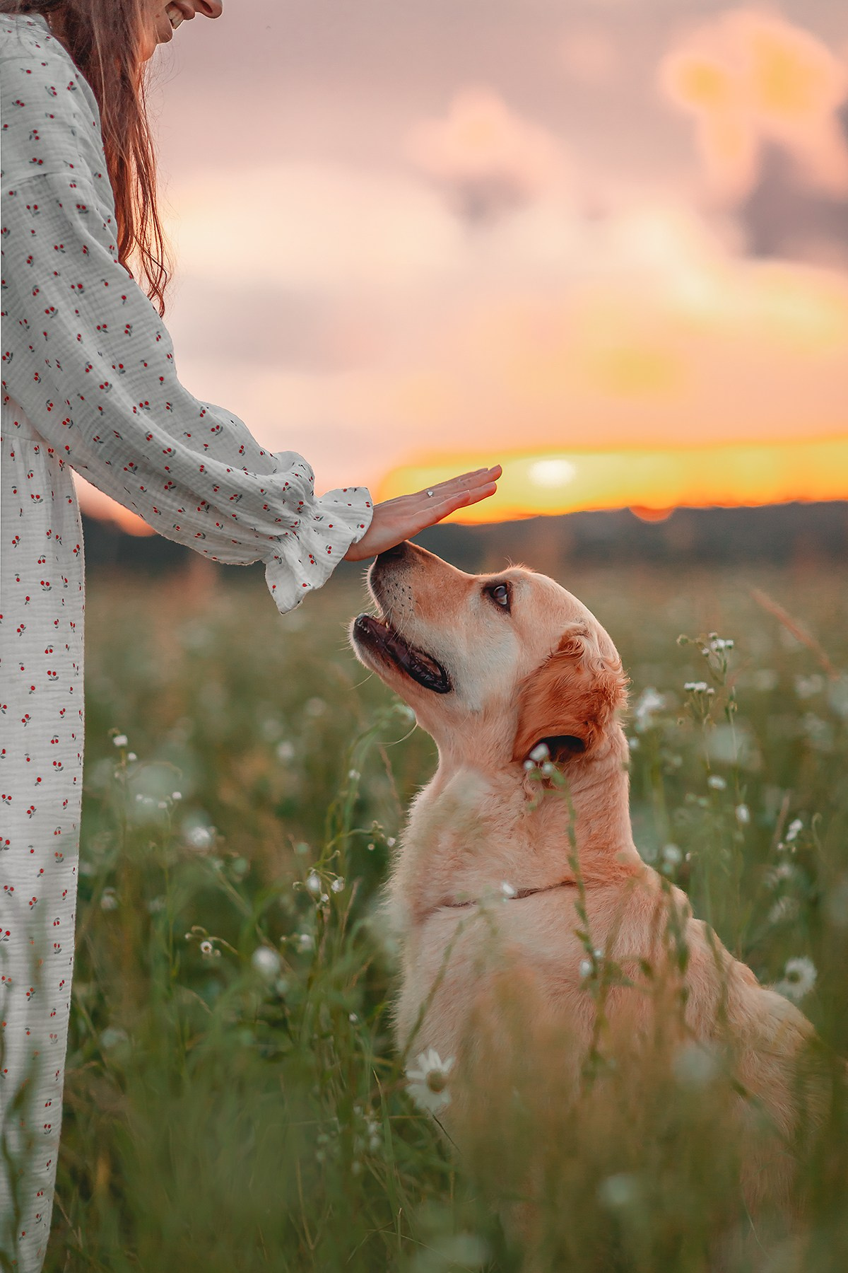 Марина и Чили. Семейный фотограф анималист Мария Крючкова