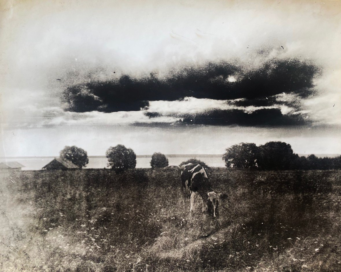 Lith prints. Darkroom aesthetics