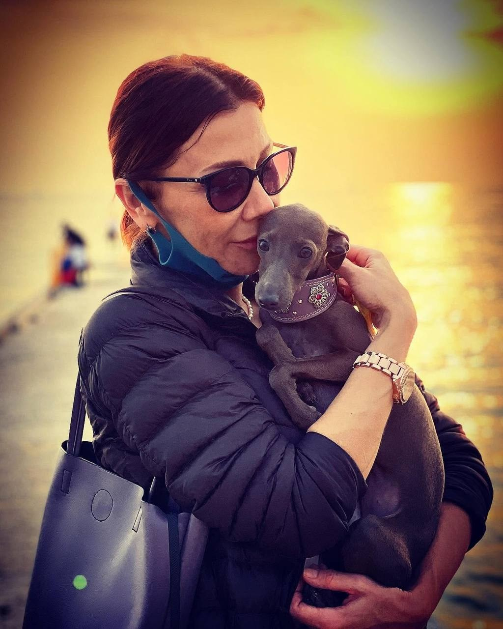 Голубые малыши. Профессиональный питомник левреток РКФ/FCI ASTI SAPPHIRE 💎 Сочи|Санкт-Петербург