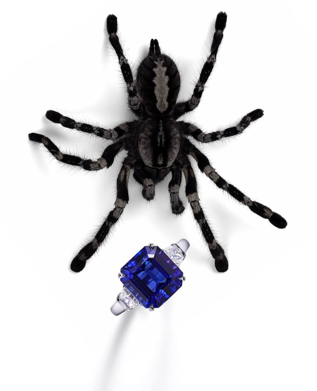 Хэллоуин 2024. Главная