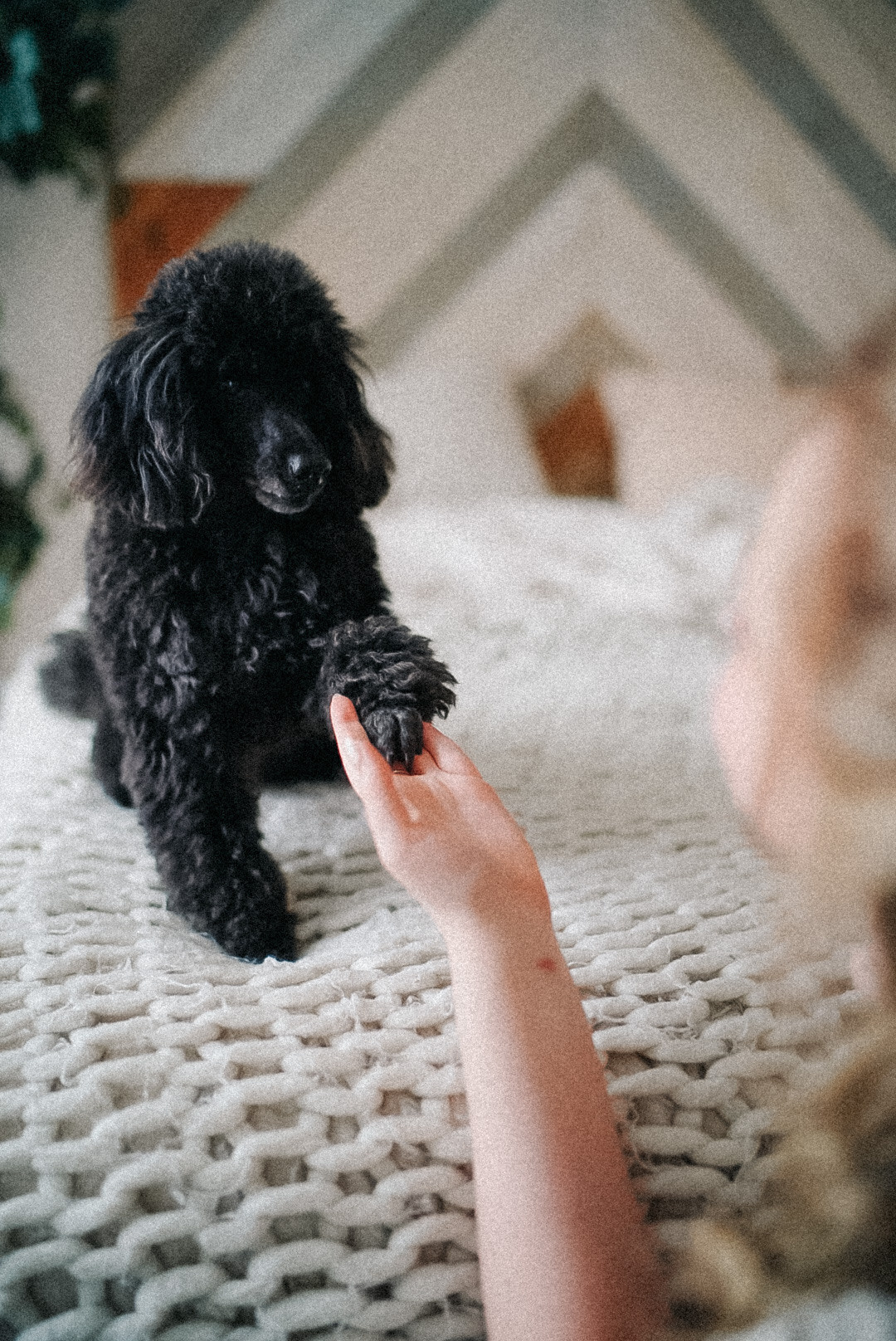 Большая семья. Искренний фотограф