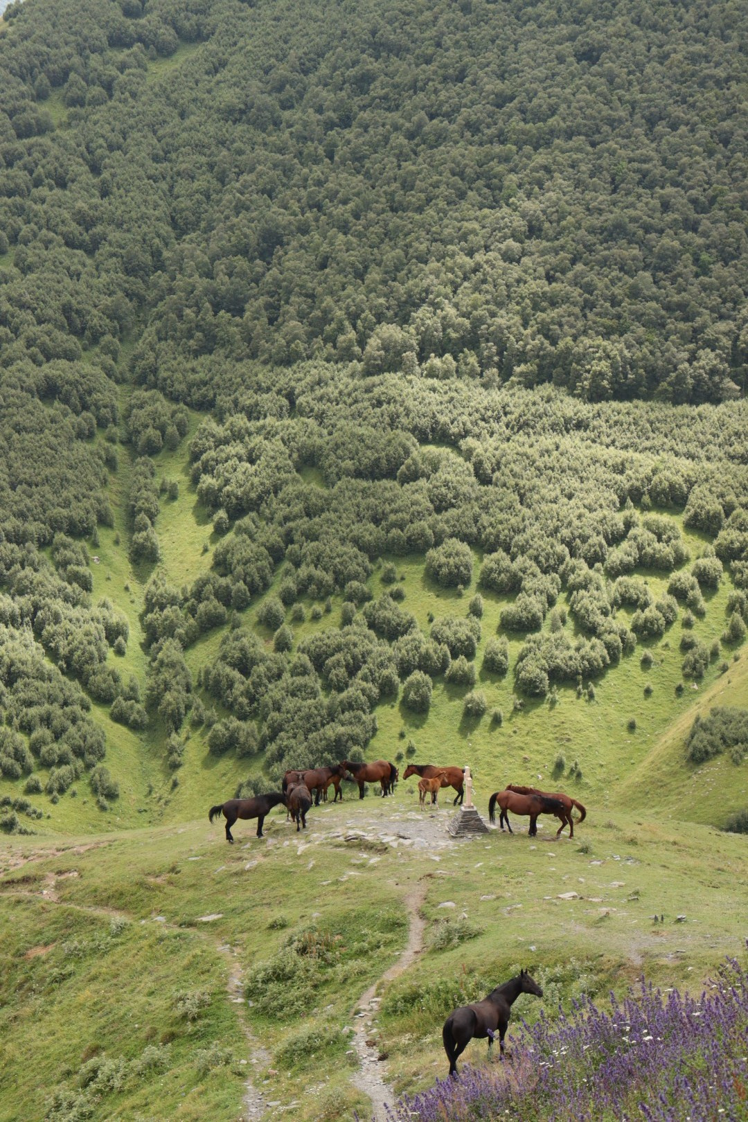 Грузия репортаж. Фотограф на трекинг и восхождение Эльбрус, Приэльбрусье. Елизавета Бобок