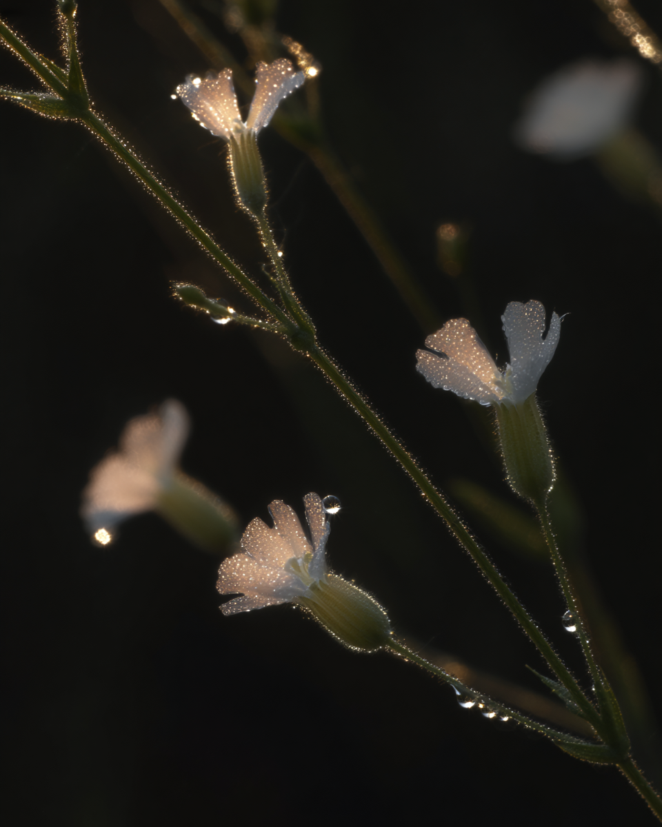 AI проекты. Фотограф Марина Гранкина