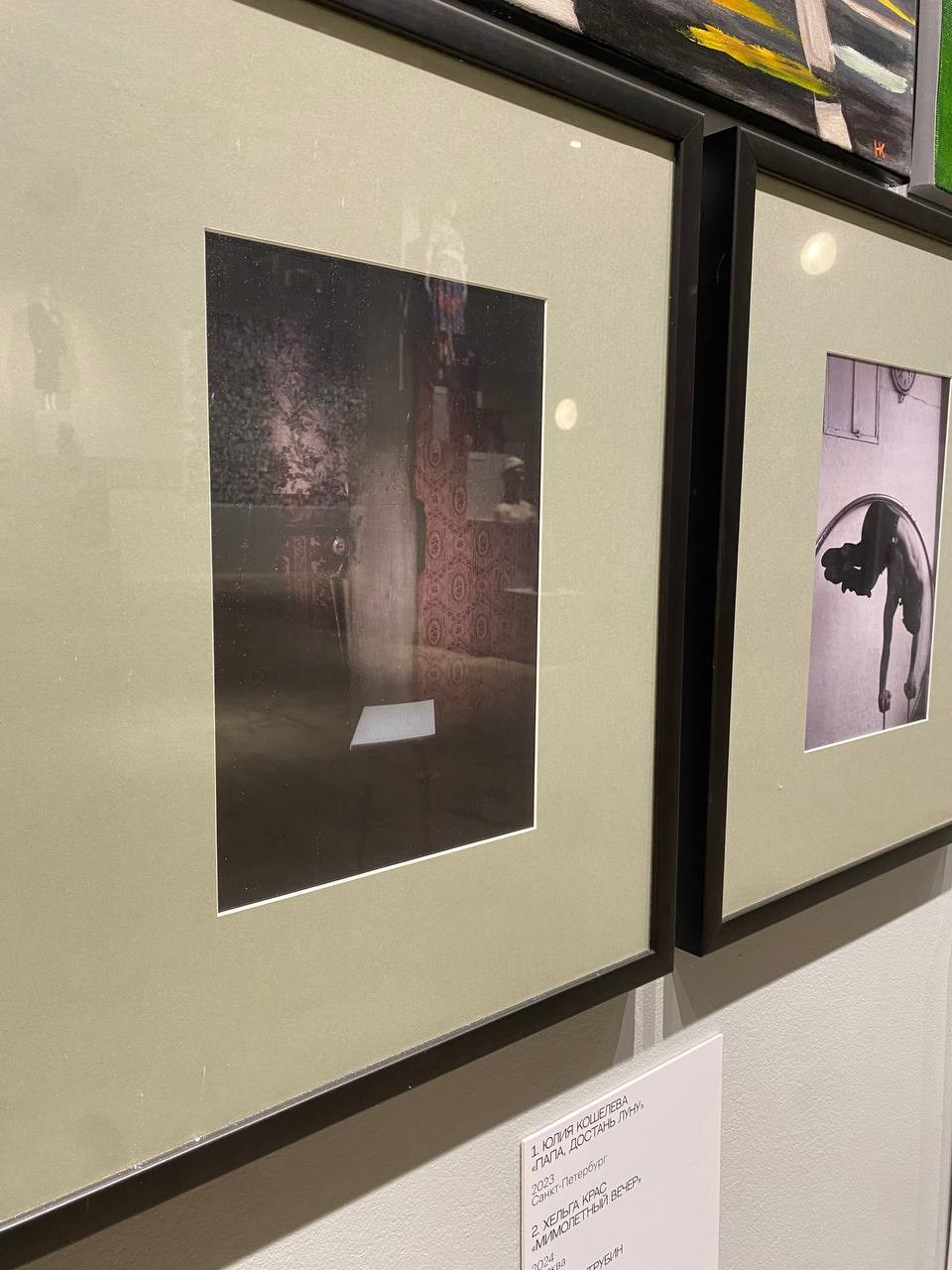 Выставки и мероприятия. Izma photos