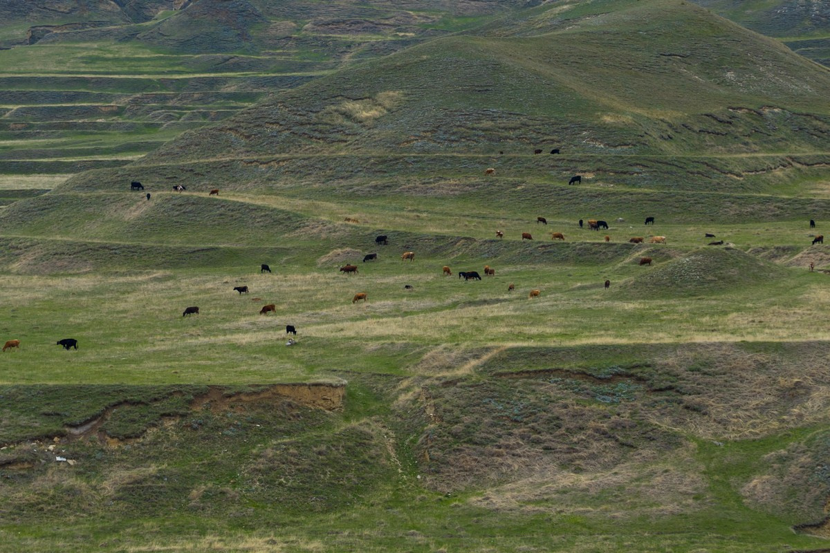 Природа. Photomantis