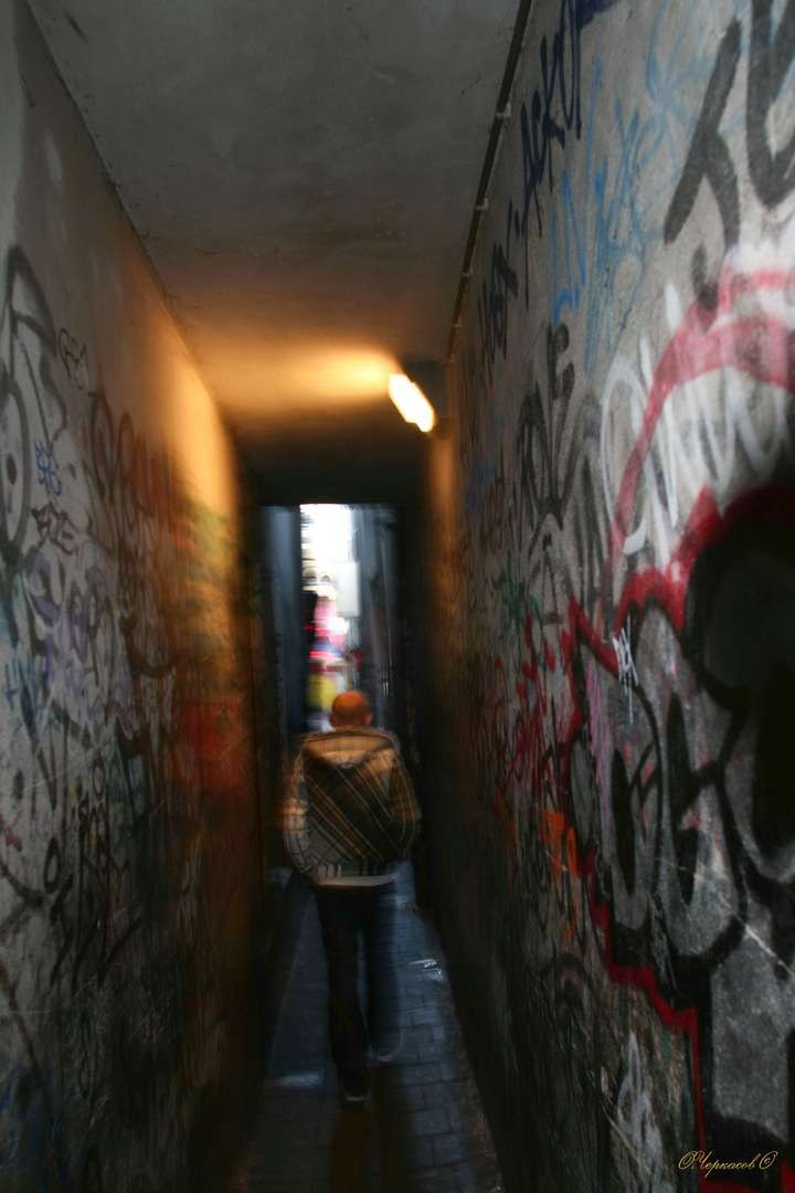 Голландия 2009 г. Улица, люди, жизнь…