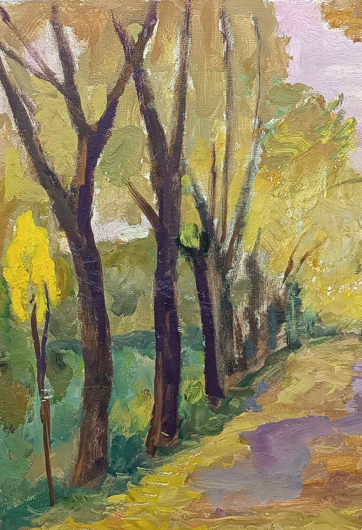 Экскизы. Художник Величко Вадим Семёнович