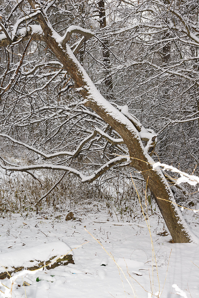 Traces of the Invisible #1. Yevgeny Nakonechnyy