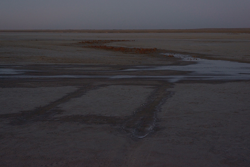 Gold Button. Yevgeny Nakonechnyy