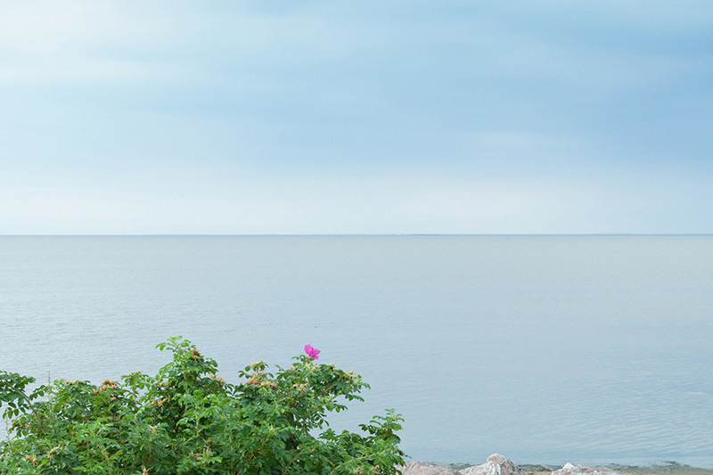 Okoem. Yevgeny Nakonechnyy