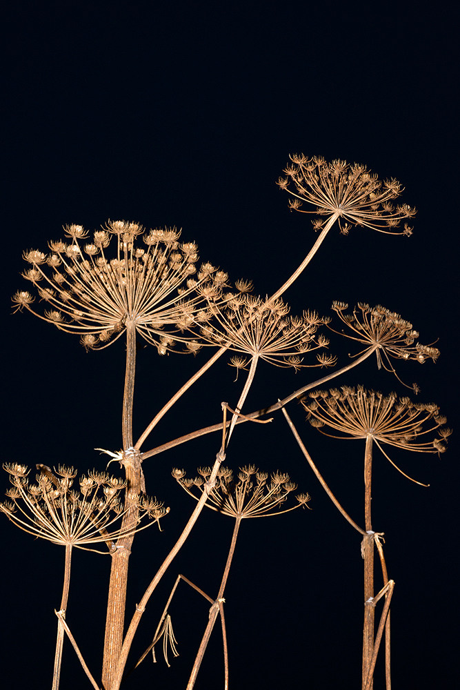 Traces of the Invisible #1. Yevgeny Nakonechnyy