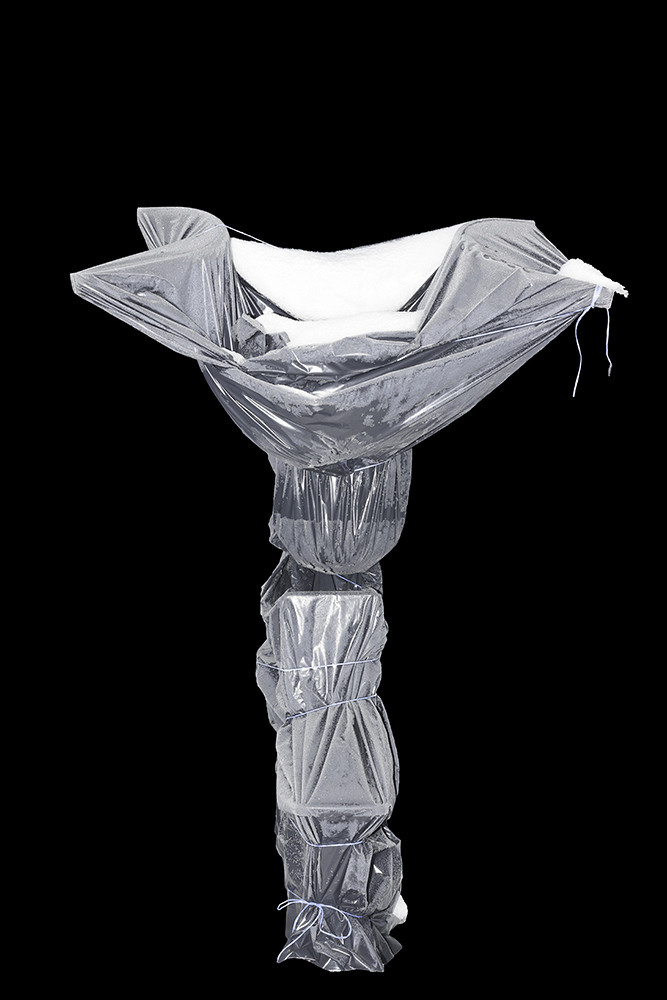 Traces of the Invisible #1. Yevgeny Nakonechnyy