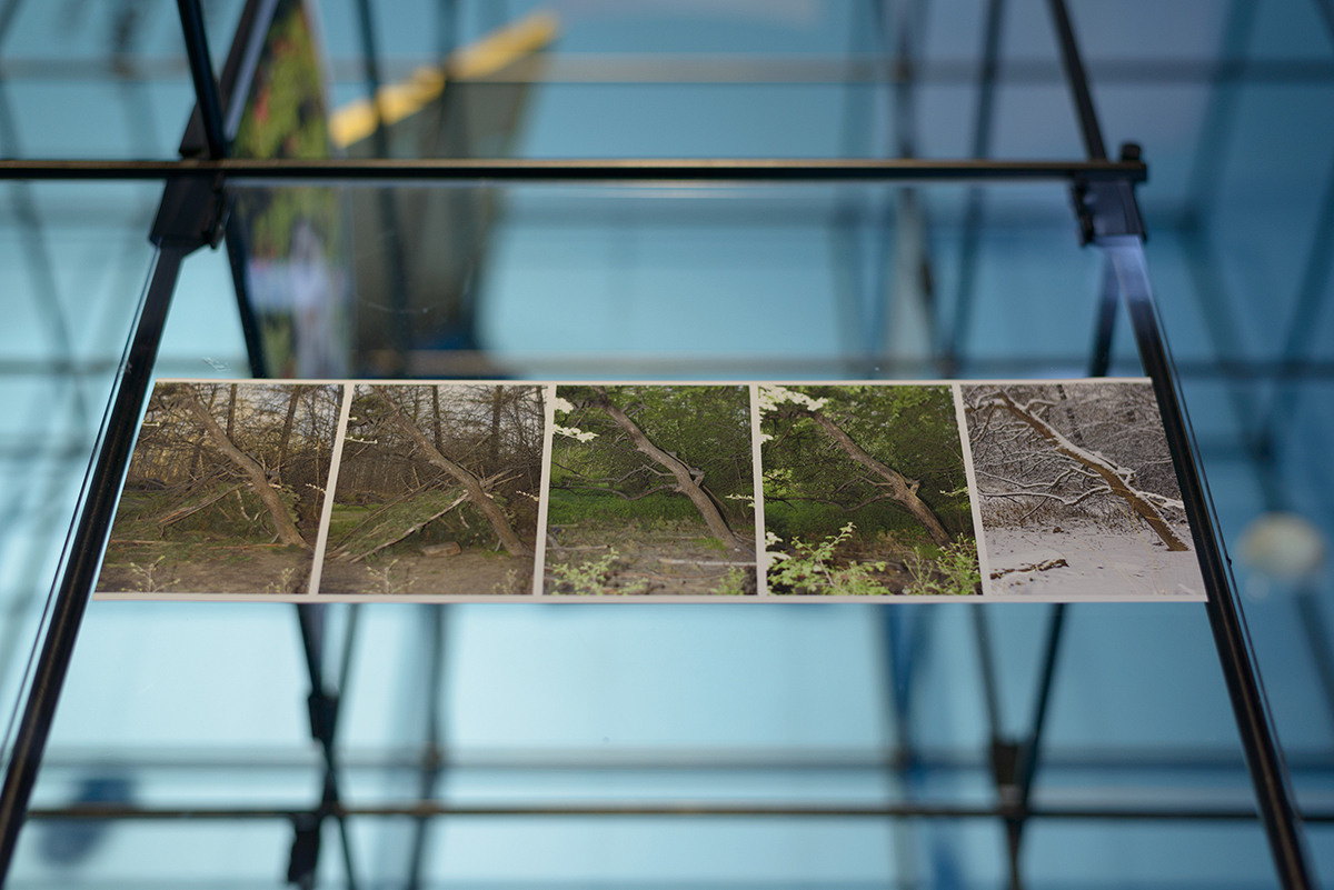 Traces of the Invisible #1. Yevgeny Nakonechnyy