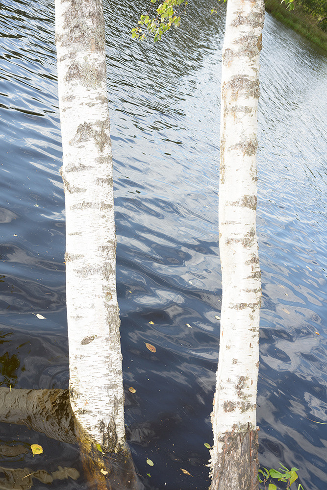 Traces of the Invisible #1. Yevgeny Nakonechnyy