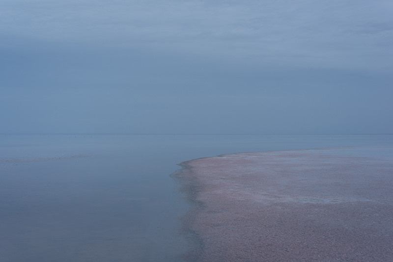 Gold Button. Yevgeny Nakonechnyy