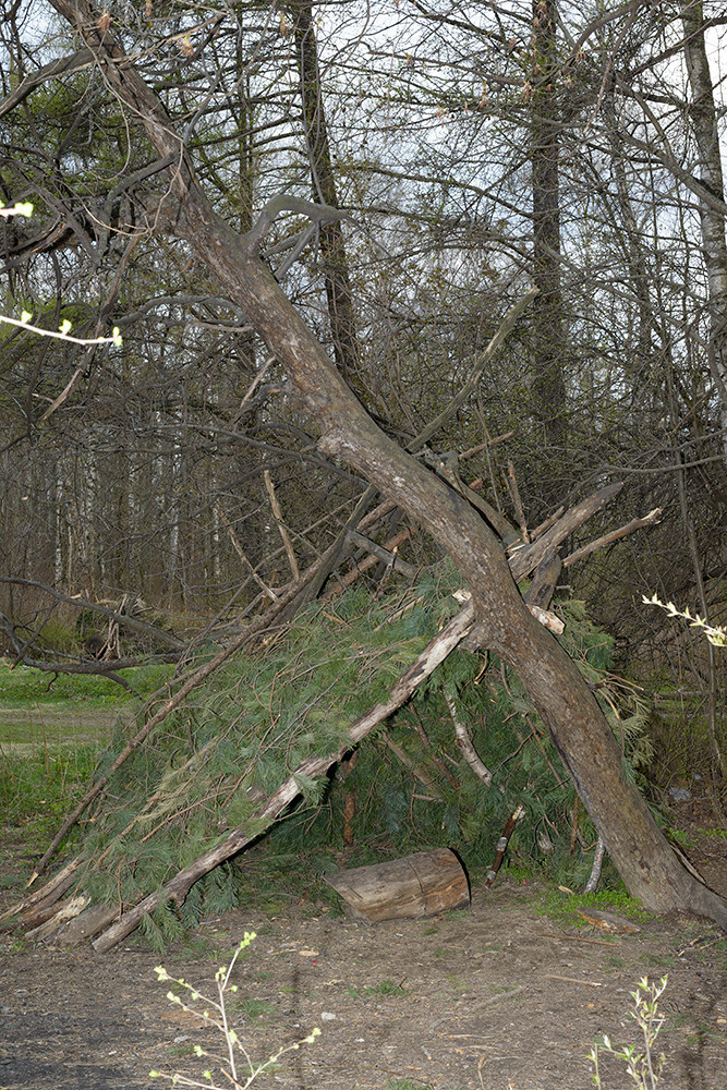 Traces of the Invisible #1. Yevgeny Nakonechnyy