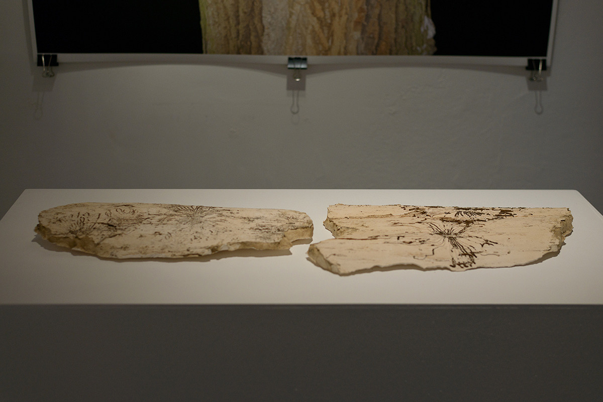 Traces of the Invisible #2. Yevgeny Nakonechnyy