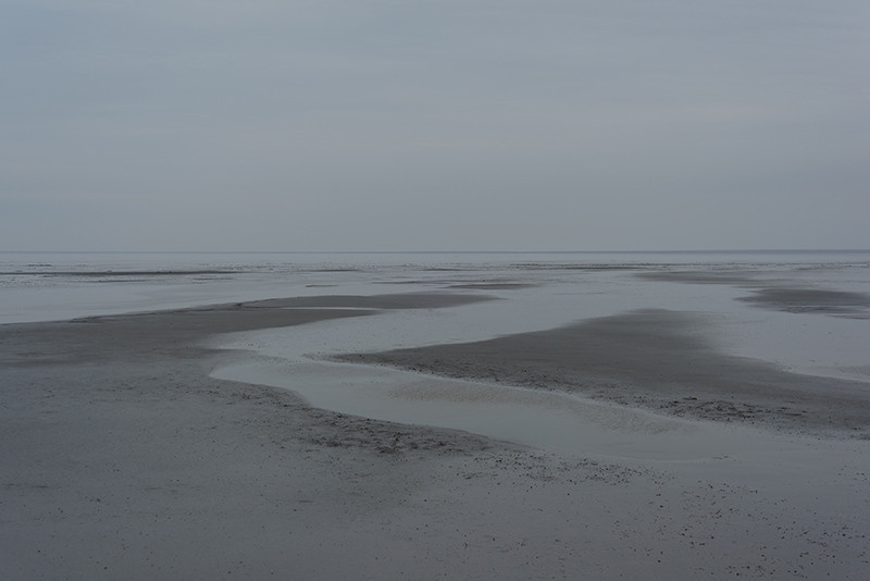 Gold Button. Yevgeny Nakonechnyy