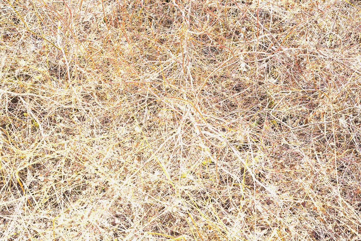 Traces of the Invisible #1. Yevgeny Nakonechnyy