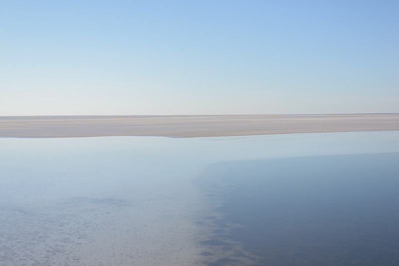 Gold Button. Yevgeny Nakonechnyy