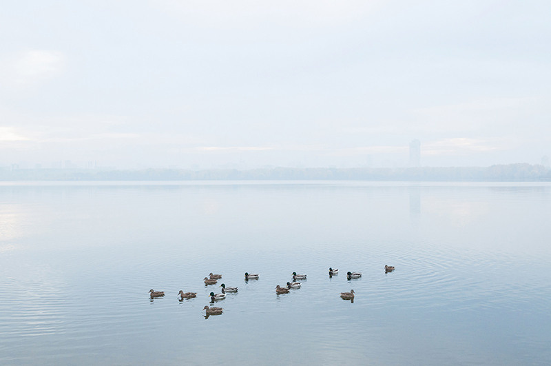 Okoem. Yevgeny Nakonechnyy