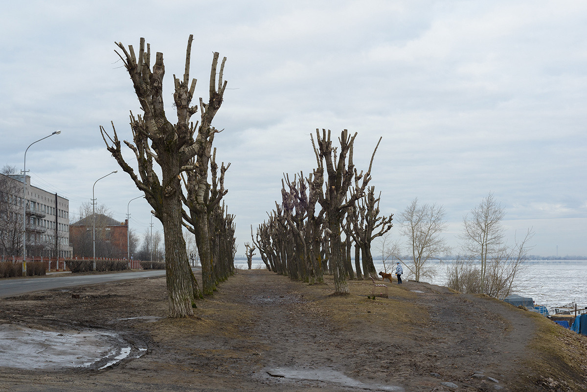 Untitled #1. Yevgeny Nakonechnyy