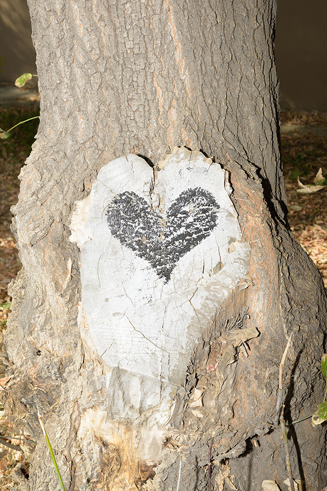 Traces of the Invisible #1. Yevgeny Nakonechnyy