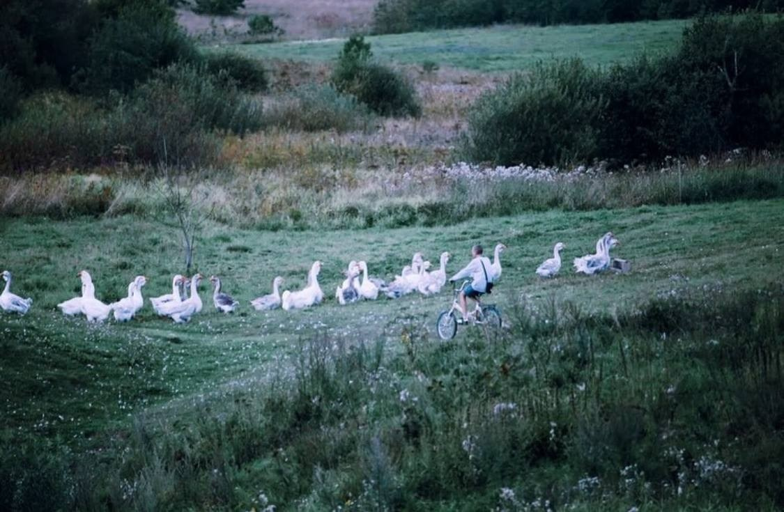 Сельский пейзаж. Костюмер, художник кино и телевидения в спб