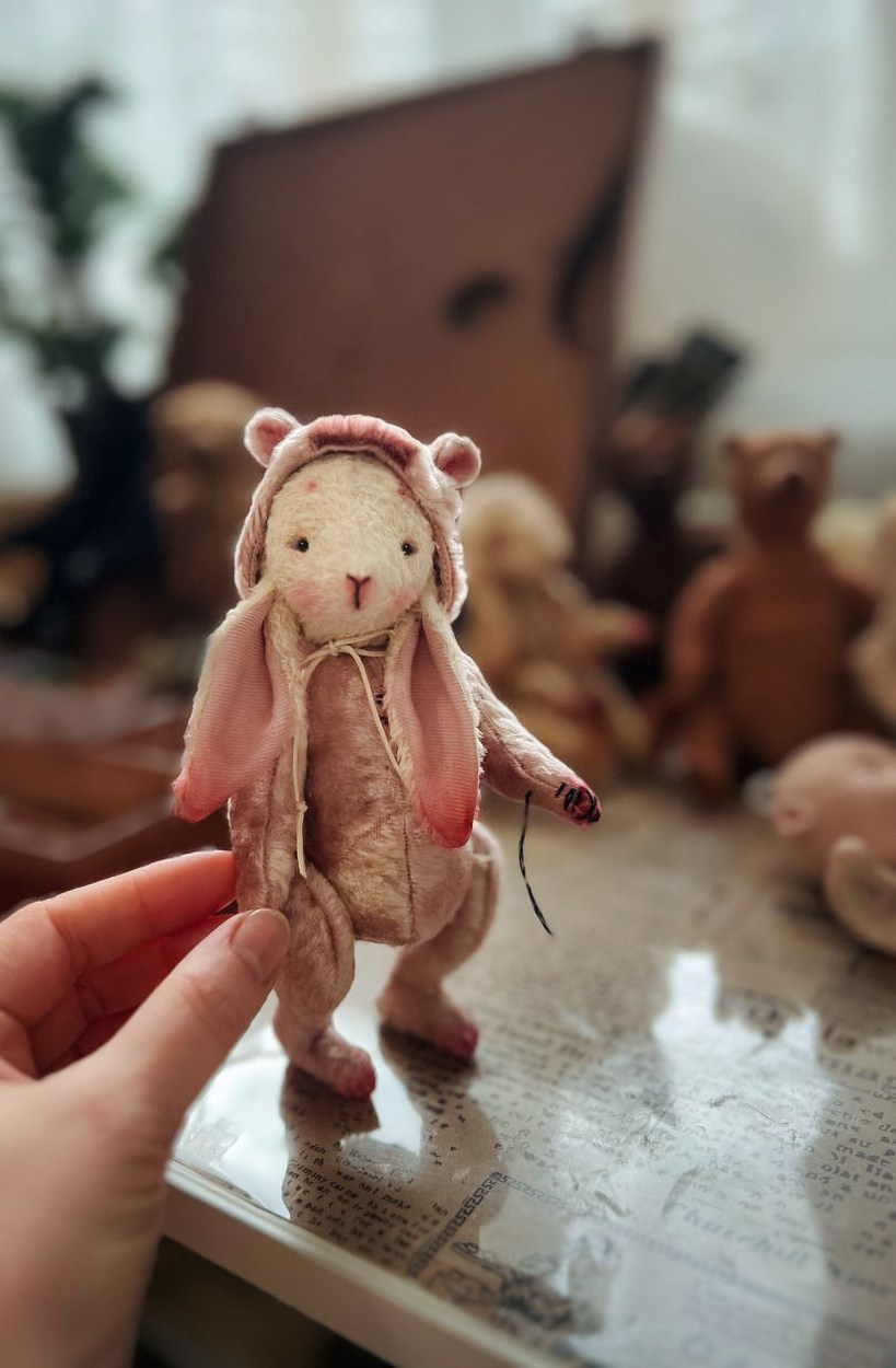 Тедди. Фотограф Ольга Сальманович