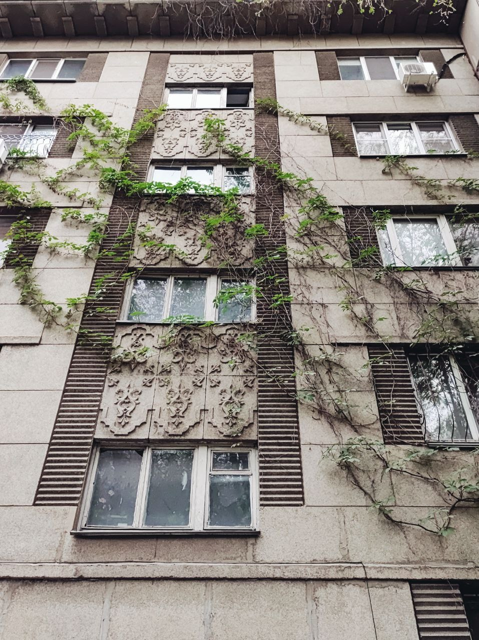 Намобилкус казахский. Репортажный фотограф Алексей Пирязев