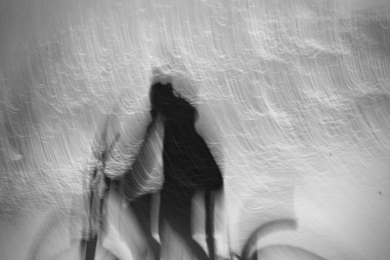 КРЫЛЬЯ творческая мастерская 25-26. Онлайн фотошкола просто о фото, фотограф, психолог фототерапия москва сочи анна ивкина