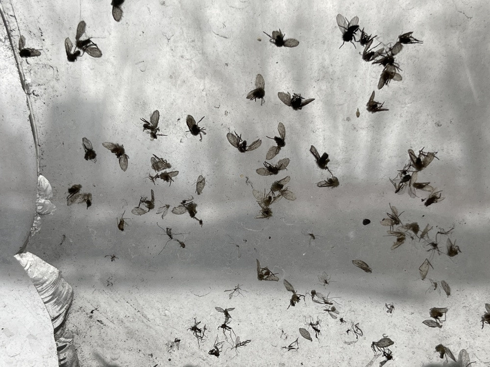 Nature. Фотохудожник Мила Мокина-Хайруллова. Екатеринбург