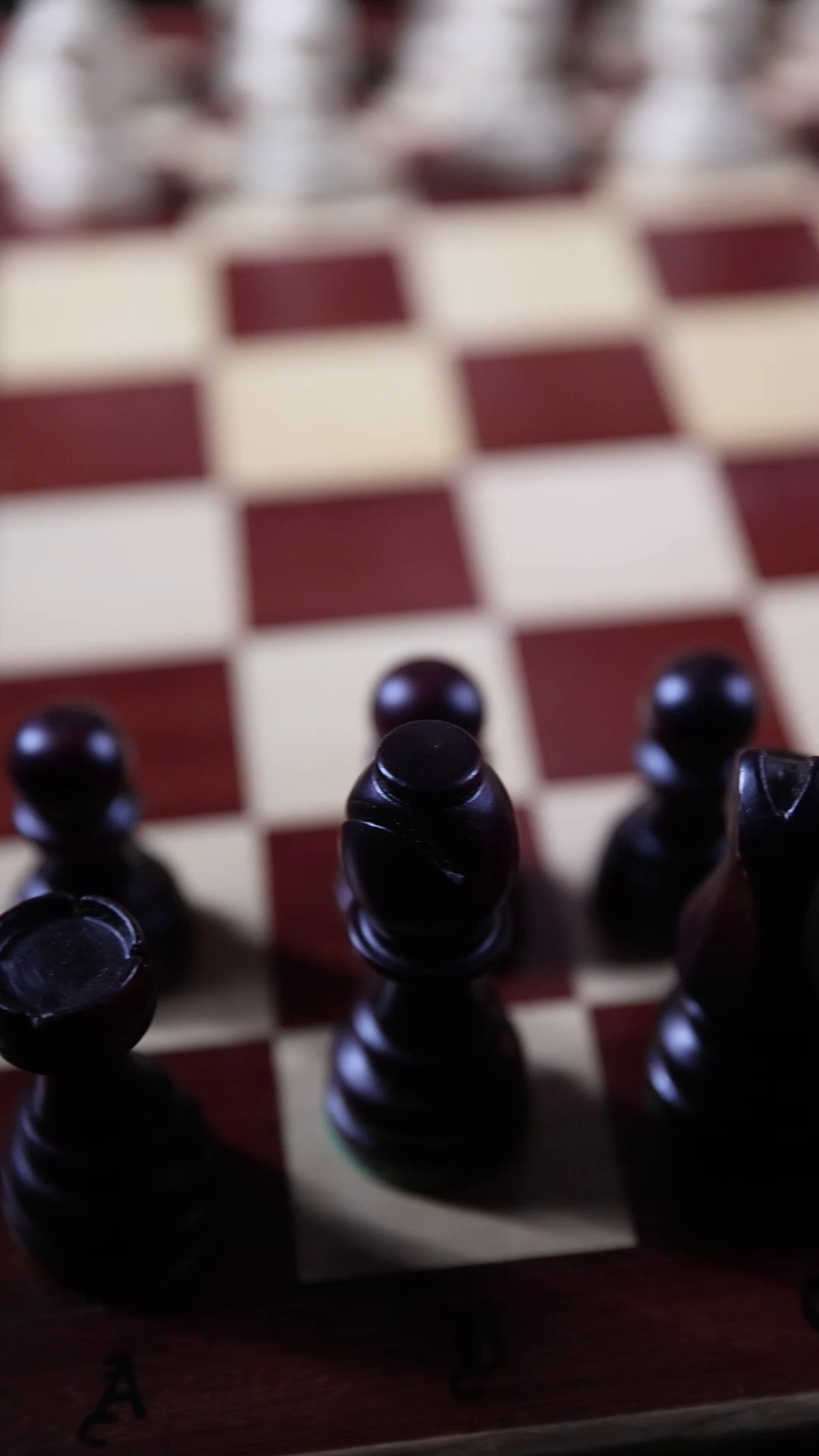 Видео. Фотограф в Томске