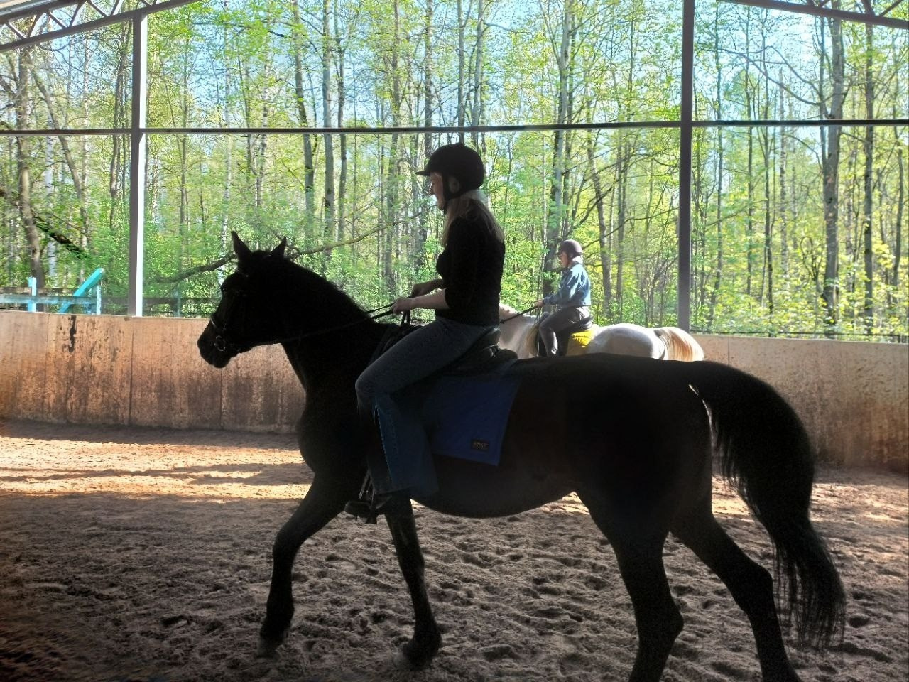 Лошадинг | 30.03.2024. Галерея Фантим