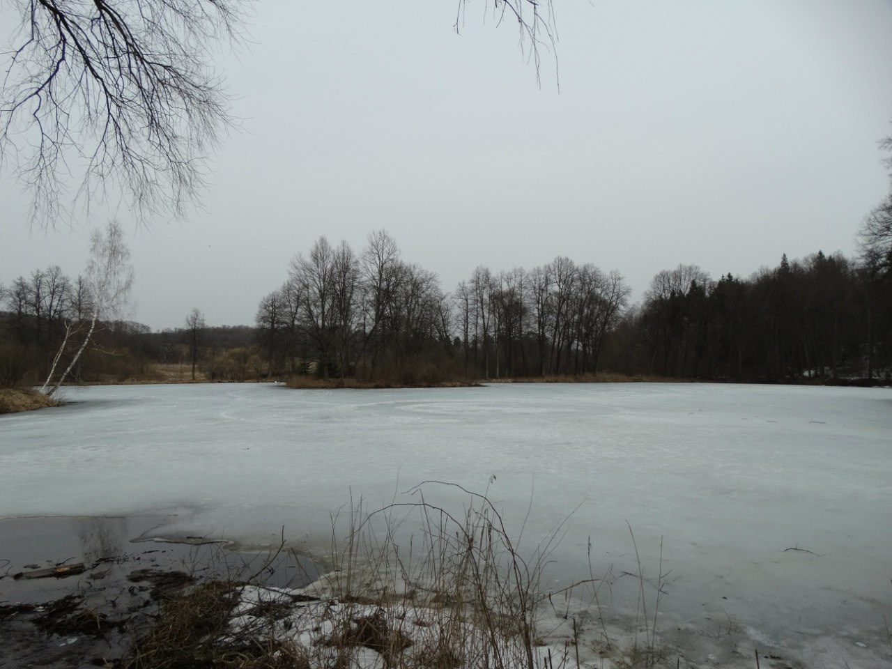 Середниково — Piligrim Porto — Братцево — Сходненская чаша | 09.04.2016. Галерея Фантим
