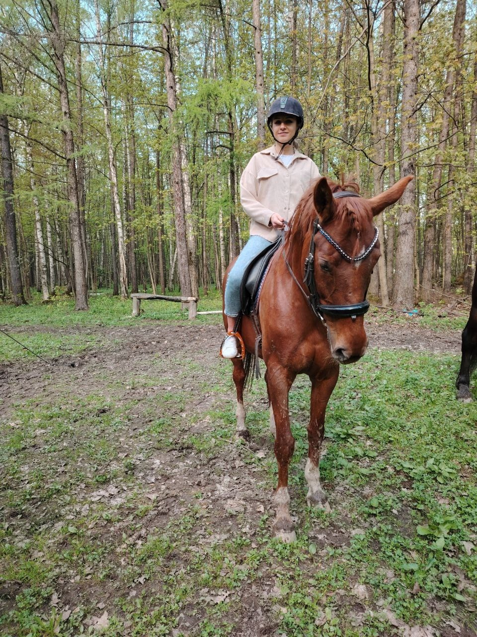 Лошадинг | 30.03.2024. Галерея Фантим
