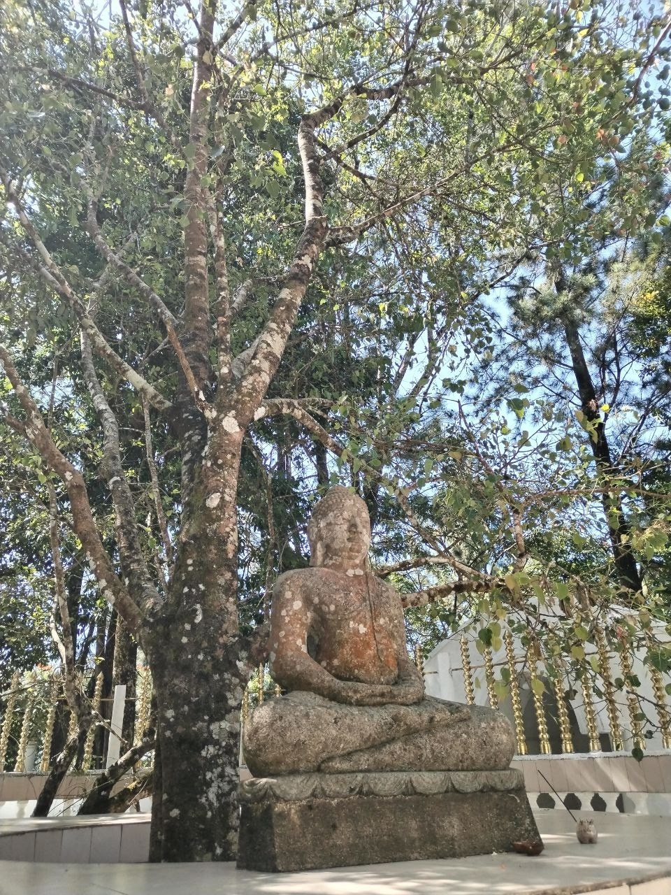 Шри-Ланка | 31.01 — 10.02.2025. Галерея Фантим