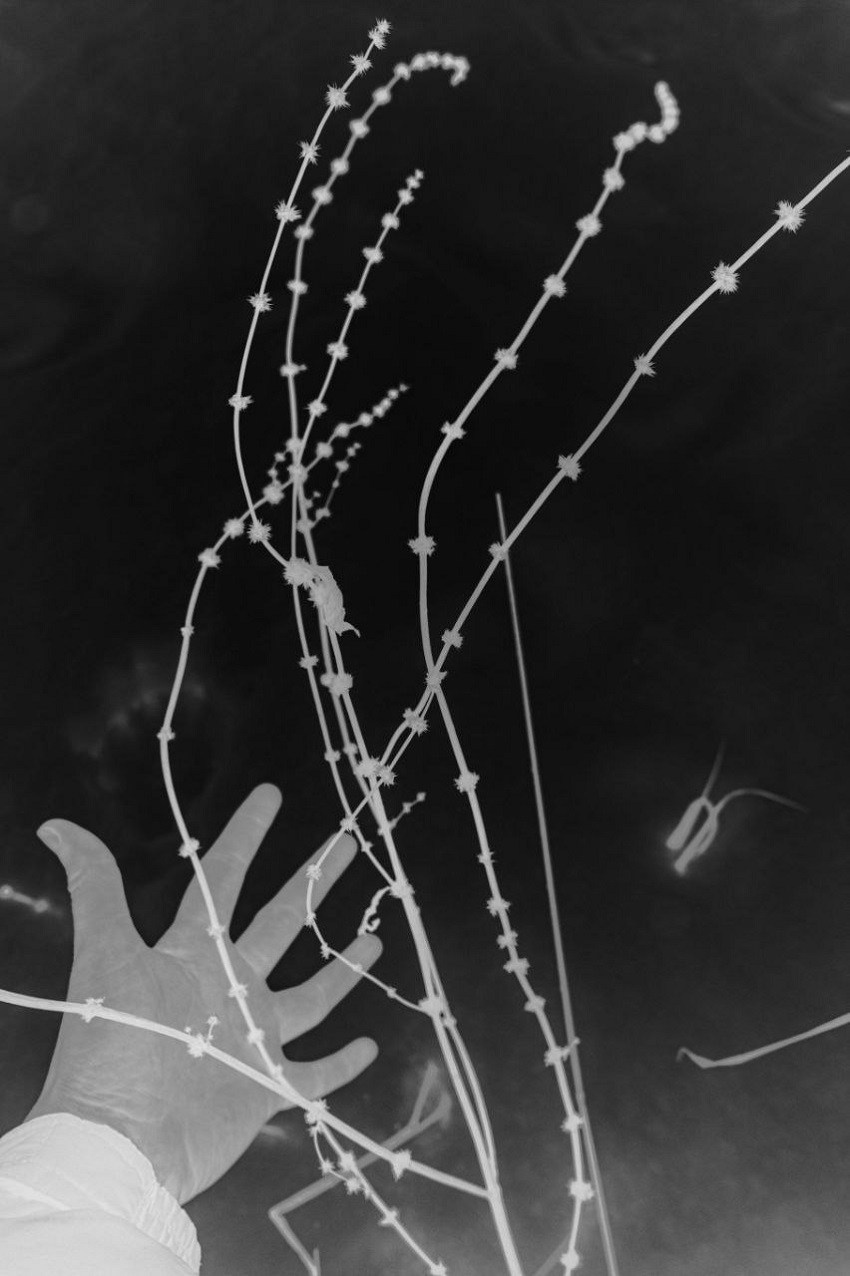 Кочеткова Ксения (Нижний Новгород). Молодая Фотография