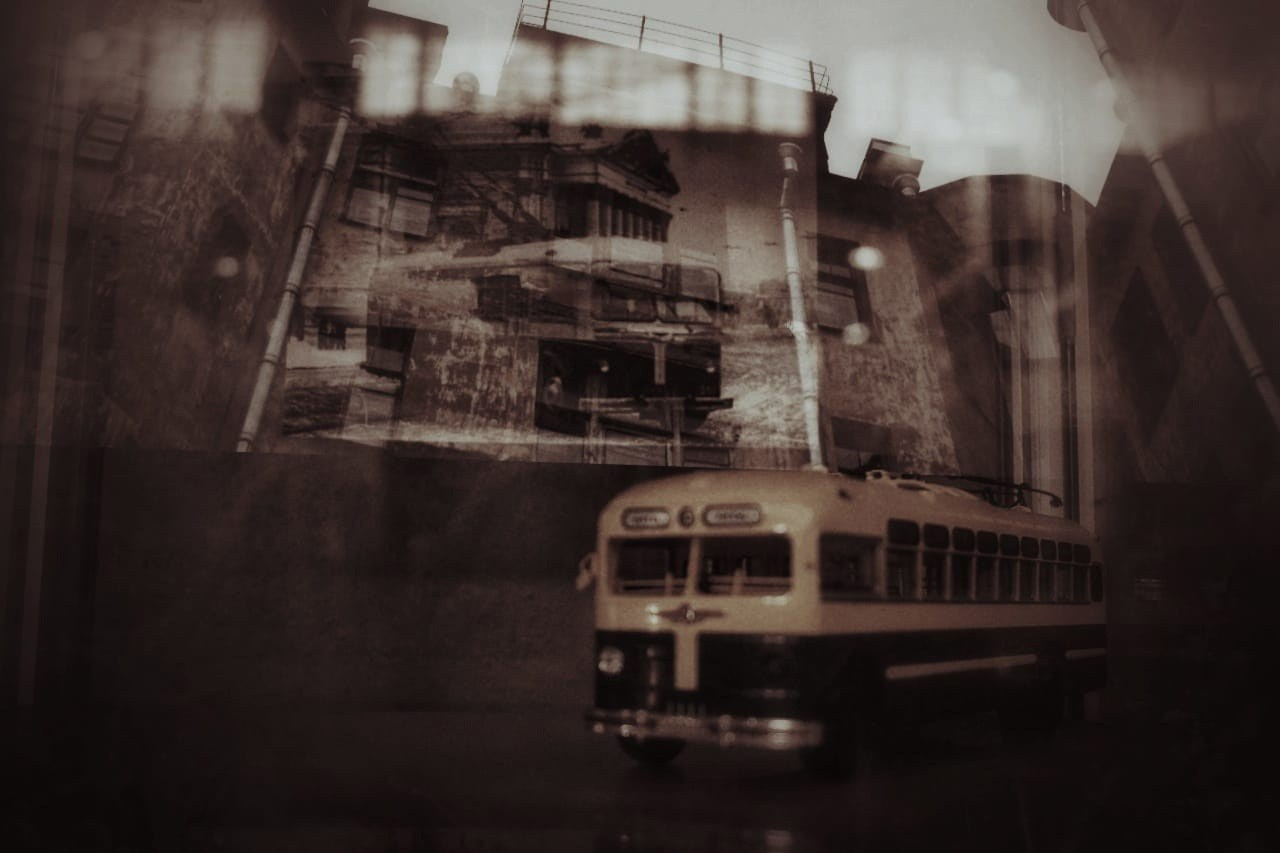 Савельева Эльза (Санкт-Петербург). Молодая Фотография