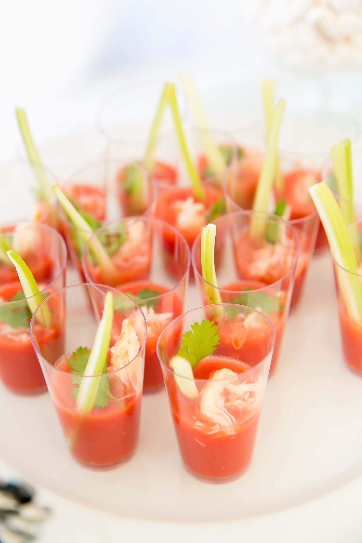 ДЕНЬ РОЖДЕНИЯ Конный клуб. Главная