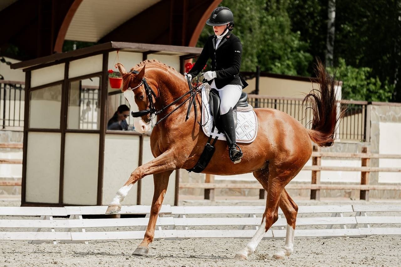 КУБОК КСК «ПЕГАС» ПО ВЫЕЗДКЕ. Куракина Дарья • Конный фотограф