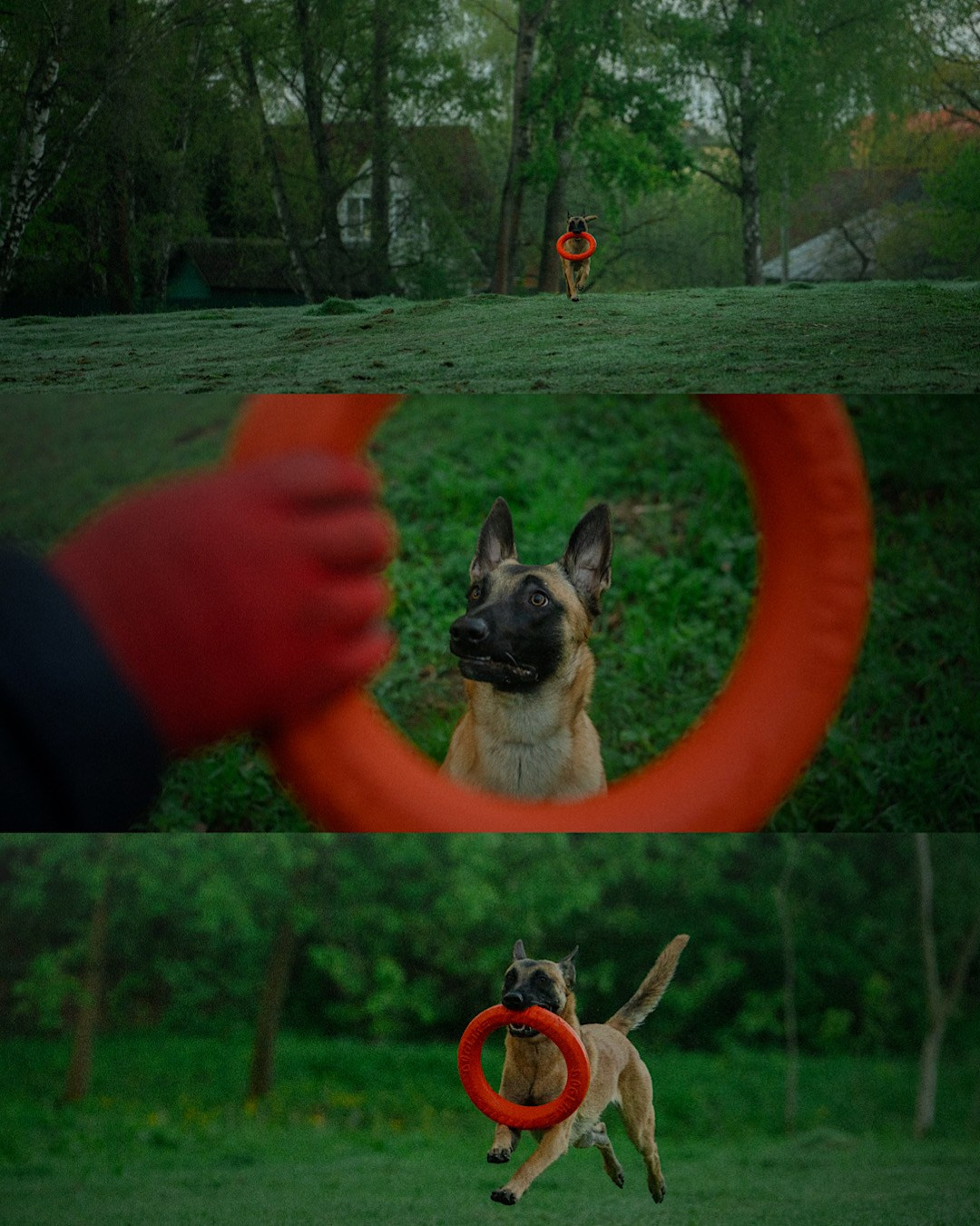 Наталья, Сергей и Уна. Фотограф анималист в Москве и Санкт-Петербурге Свиридова Анна