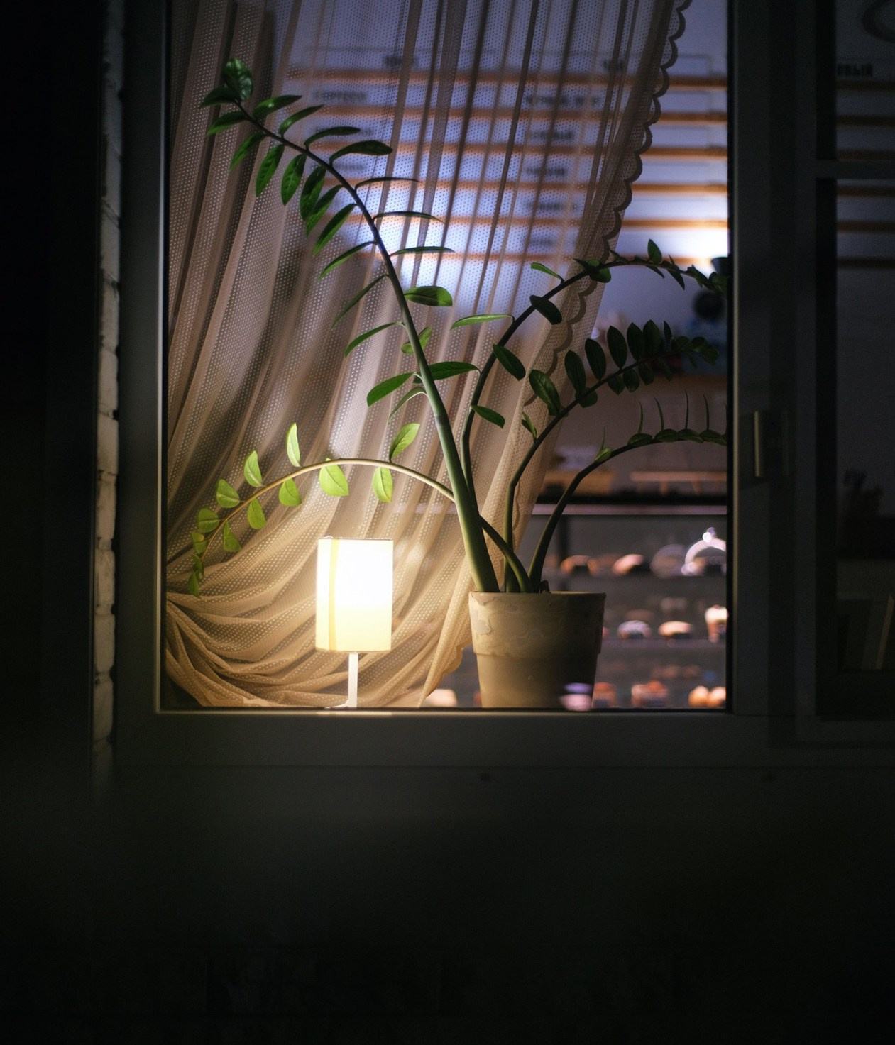 Street. Свадебный фотограф в Ростове-на-Дону Владимир Пешков